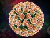 Es confirma la relació del virus del papil·loma humà amb el càncer d’orofaringe
