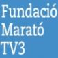 La Marató de TV3 del 2012 es dedicarà al càncer